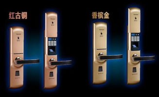 东坑无损开车锁 东坑开锁实体店 东坑开锁价格 东坑配汽车钥匙